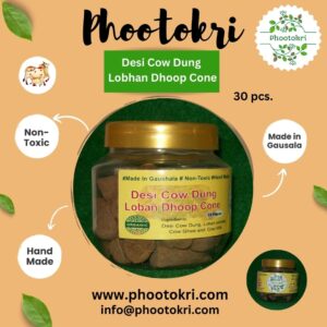 Desi Cow Dung Lobhan Dhoop Cone (30 pcs)