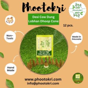 Desi Cow Dung Lobhan Dhoop Cone (12 pcs)